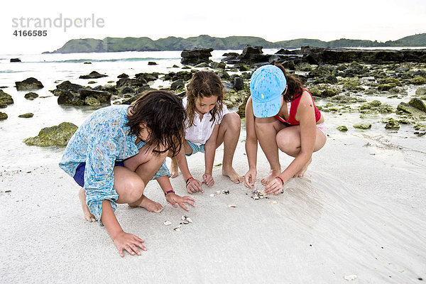 Kinder suchen an einem einsamen Strand nach Muscheln und Korallen  Insel Lombok  Kleine-Sunda-Inseln  Indonesien