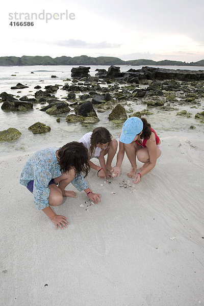 Kinder suchen an einem einsamen Strand nach Muscheln und Korallen  Insel Lombok  Kleine-Sunda-Inseln  Indonesien