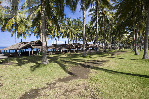 Hütten stehen in einer Palmenplantage am Strand  Insel Lombok  Kleine Sunda-Inseln  Indonesien  Asien