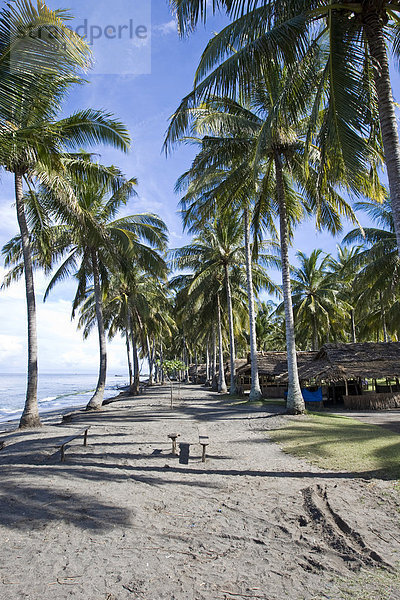 Hütten in einer Palmenplantage am Strand  Insel Lombok  Kleine Sunda-Inseln  Indonesien  Asien