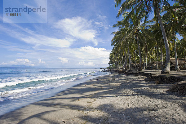 Strand bei Senggigi  mit einer Palmenplantage zur Gewinnung von Copra  Insel Lombok  Kleine Sunda-Inseln  Indonesien  Asien