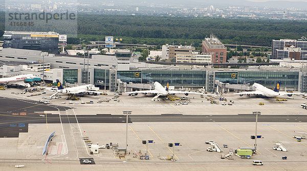 Flugzeuge stehen in Parkposition am Terminal  Frankfurter Flughafen  Frankfurt  Hessen  Deutschland  Europa