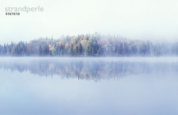 Morgennebel und herbstlich gefärbte Bäume einer Insel  Lac Bouchard  während des Indian Summers  La Mauricie Nationalpark  Québec  Kanada
