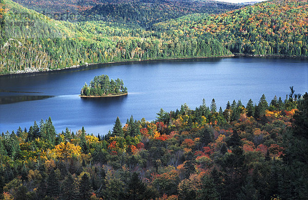 Insel im Lac Wapizagonke  Indian Summer  Parc National de la Mauricie  Québec  Kanada