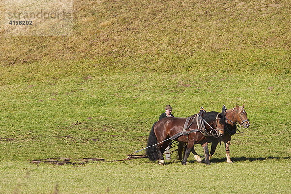 Bauer eggt sein Feld mit Pferden - Oberbayern