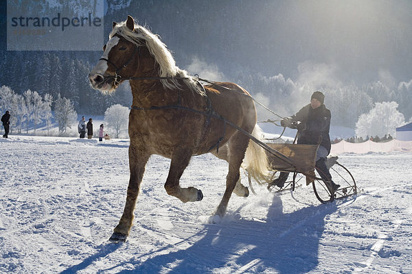 Pferdeschlittenrennen in Rottach-Egern Oberbayern