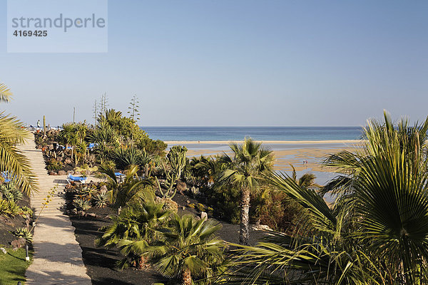 Gartenanlage von Hotel Sol Gorriones   Playa de Sotavento   Jandia   Fuerteventura   Kanarische Inseln