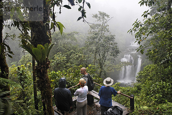 Touristen an Aussichtspunkt vor Wasserfall in Rara Avis  Las Horquetas  Costa Rica