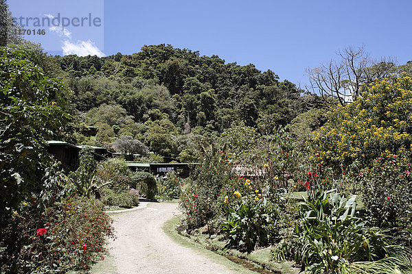 Trogon Lodge in San Gerardo de Dota  Nationalpark Los Quetzales  Costa Rica