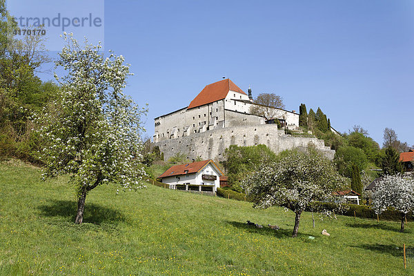 Burg Tittmoning  Rupertiwinkel  Oberbayern  Deutschland