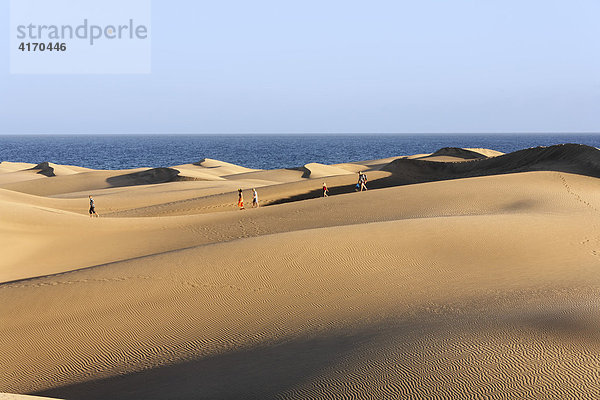 Sanddünen in Maspalomas  Playa del Ingles  Gran Canaria  Kanaren  Spanien