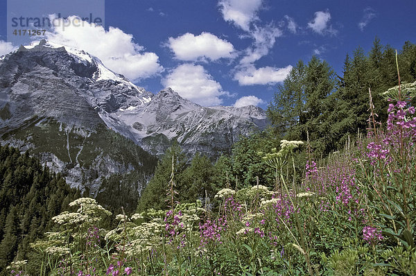 Passo dello Stelvio  Italien