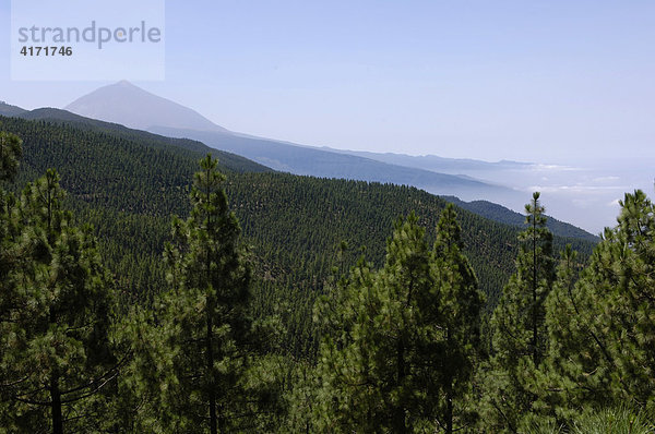 Teide im Dunst  Teneriffa  Kanarische Inseln  Spanien