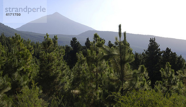 Teide Teneriffa  Kanarische Inseln  Spanien