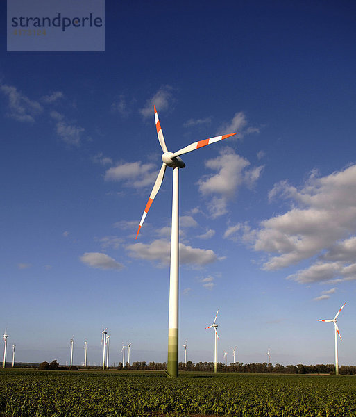 Windkrafträder auf einem Feld bei Bad Lauchstädt  Sachsen Anhalt  Deutschland  Europa