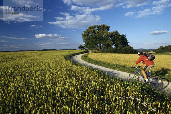 Kohlstein  Fränkische Schweiz  Bayern  Deutschland Trekking Radfahrer fährt durch Felder