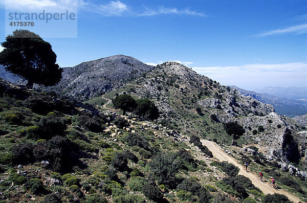 Mountainbiker  Ida-Gebirge  Kreta  Griechenland