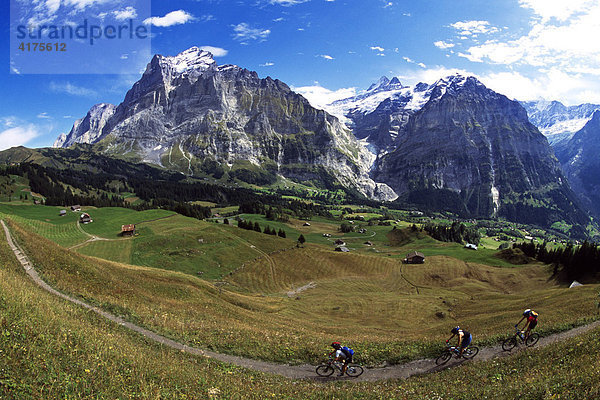 Mountainbiker  Wetterhorn  Grindelwald  Berner Oberland  Schweiz