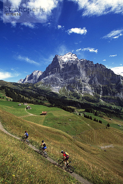 Mountainbiker  Wetterhorn  Grindelwald  Berner Oberland  Schweiz