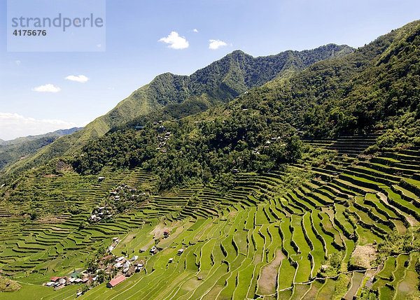 Reisterrassen  Batad-Village  Banaue  Luzon  Philippinen  Asien