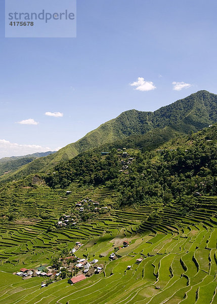 Reisterrassen  Batad-Village  Banaue  Luzon  Philippinen  Asien