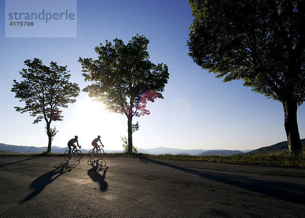 Radfahrer  Route des Sucs  Mont Gerbier de Jonc  Ardeche  Frankreich