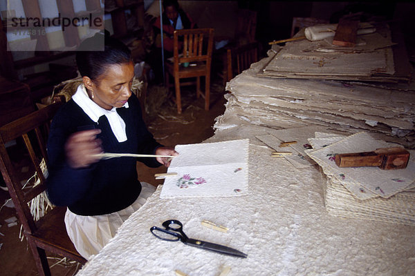Handwerk  Papierherstellung  Antsirabe  Madagaskar  Afrika