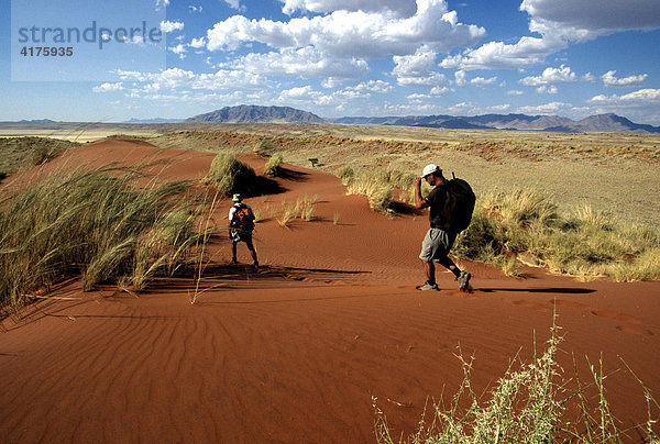 Tok Tokkie Trail  Trekking auf Sanddünen  Namib Rand Nature Reserve  Namibia  Afrika