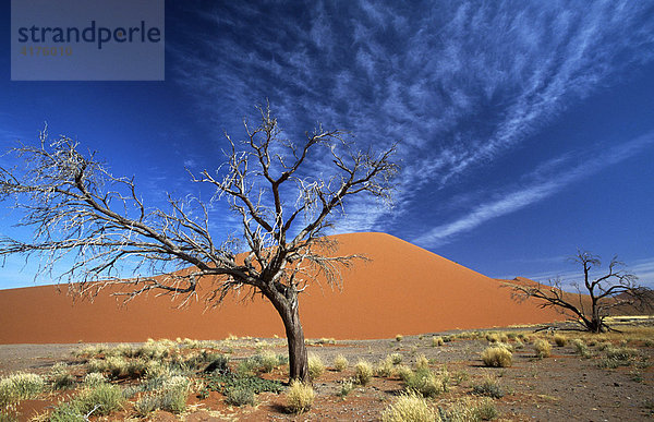 Sossusvlei  Namib Naukluft Park  Namibia  Afrika