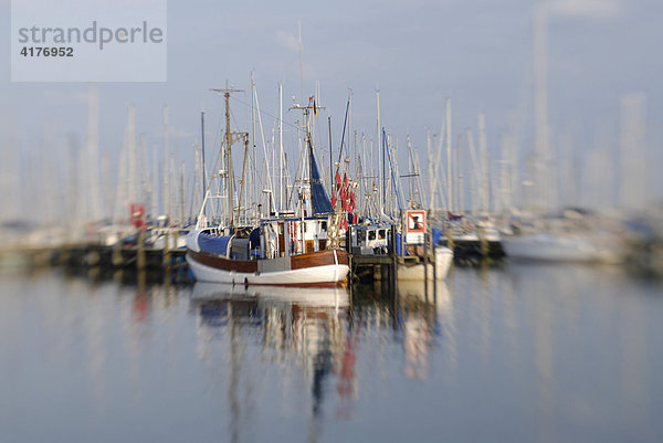 Schiffe im hafen von maasholm ostsee schleswig hostein deutschland