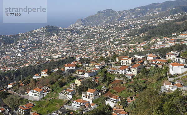 Funchal  Madeira  Portugal