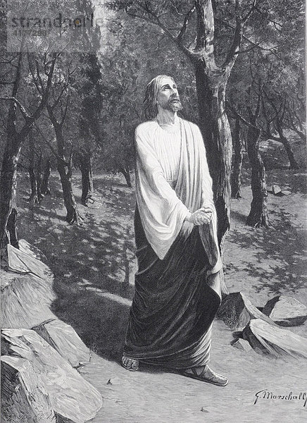 Christus in Gethsemane  Holzschnitt  Jahrbuch Moderne Kunst in Meisterholzschnitten  1903