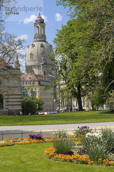 Park am Elbufer  Frauenkirche  Dresden  Sachsen  Deutschland  Europa