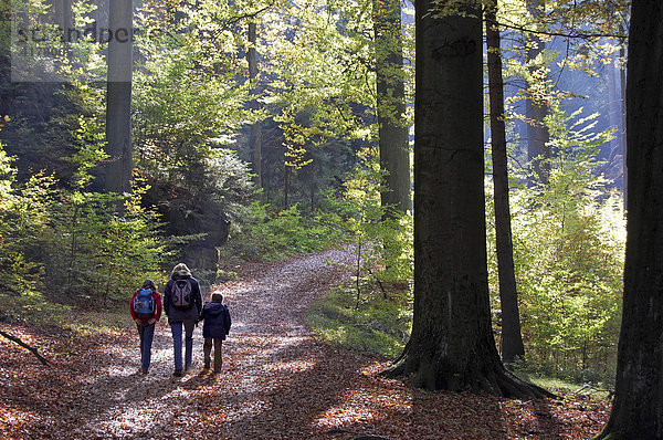 Mutter mit zwei Kindern bei Waldspaziergang  Elbsandsteingebirge  Sachsen  Deutschland