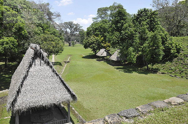 Großer Platz  Quirigua  präkolumbische Stadt der Maya  Guatemala  Mittelamerika