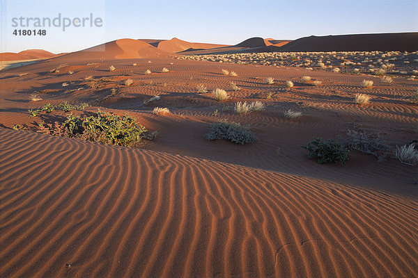 Sandverwehungen und Dünen im Sossus Vlei  Namibia  Afrika