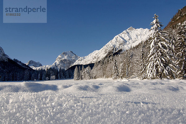 Gramai mit Blick auf Sonnjoch im Vordergrund Eiskristalle  Pertisau am Achensee  Karwendelgebirge  Nordtirol  Österreich