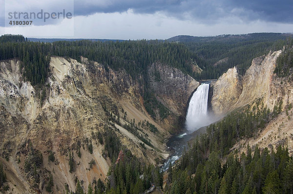 Blick auf die Lower Falls im Grand Canyon of the Yellowstone  Yellowstone Nationalpark  Wyoming  Vereinigte Staaten von Amerika