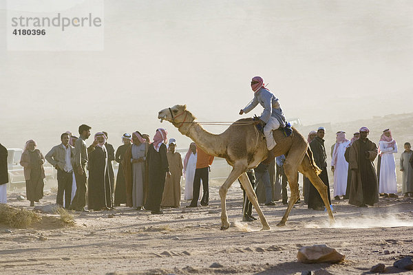 Zieleinlauf bei Kamelrennen in der Wüste  Wadi Rum  Jordanien  Naher Osten
