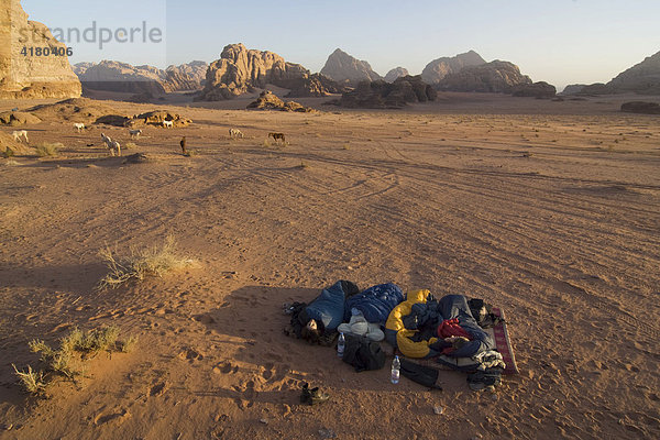 Touristen schlafen im Schlafsack unter freiem Himmel in der Wüste  Wadi Rum  Jordanien  Naher Osten