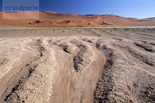 Ausgetrocknetes Flussbett vor den Dünen des Sossusvlei in der Namib Wüste  Namib-Naukluft Park  Namibia  Afrika