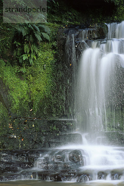 Purakanui Wasserfall Detail  Catlins  Südinsel  Neuseeland