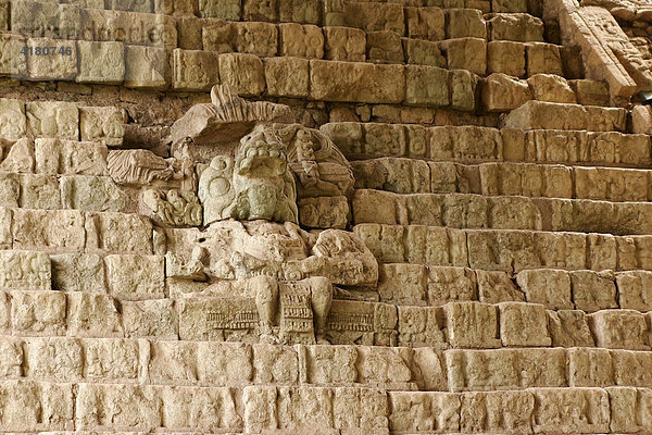 Hieroglyphentreppe   Copan Ruinas  Copan  Honduras