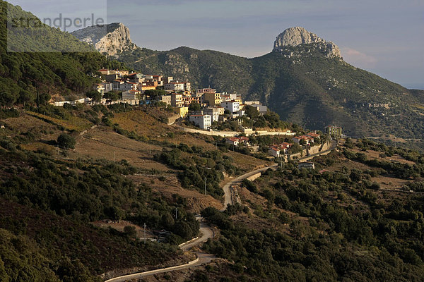 Hochebene von Baunei  Sardinien  Italien  Europa