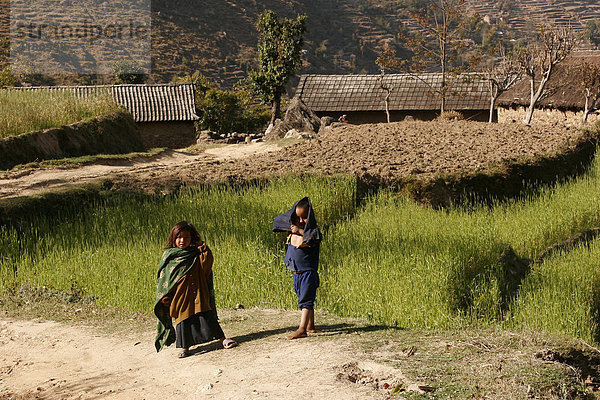 Kinder auf dem Land in den Bergen rund um Nagarkot  Nepal  Asien