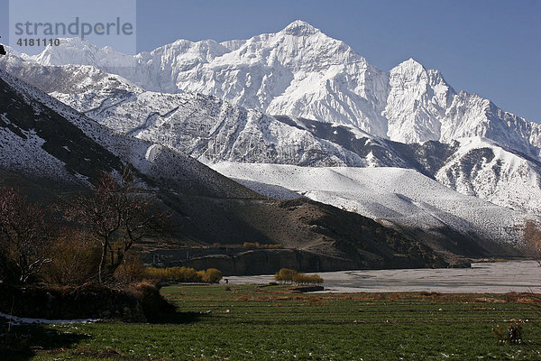 Himalaya und Felder bei Kagbeni Nepal Asien