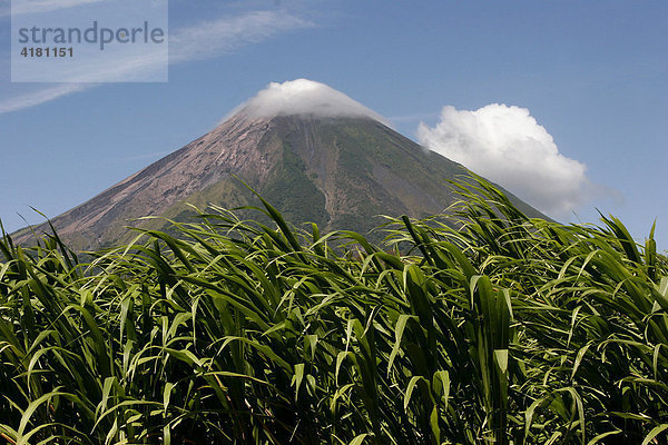 Der noch aktive Vulkan Concepciòn auf der Insel Ometepe  Nicaragua  Mittelamerika