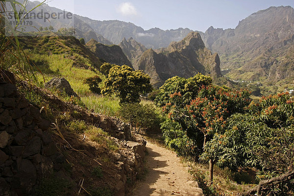 Das fruchtbare Paul-Tal auf der Insel Santo Antao  Kap Verde  Kapverdische Inseln  Afrika