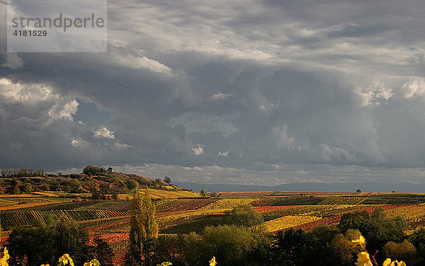 Herbstlandschaft