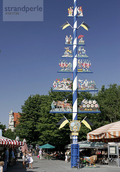Maibaum auf dem Viktualienmarkt in der Landeshauptstadt München  Oberbayern  Bayern  Deutschland